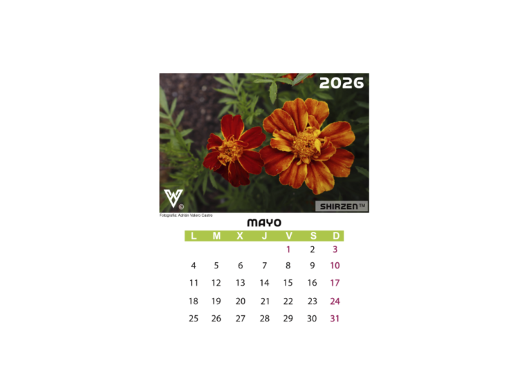 Calendario 2026 floral-P