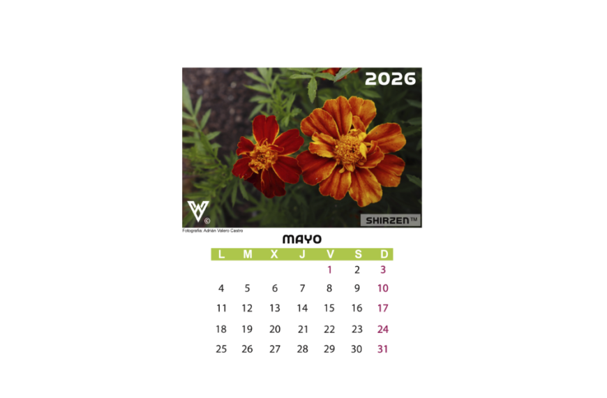 Calendario 2026 floral-P