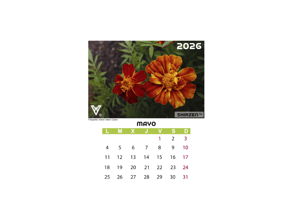 Calendario 2026 floral-P